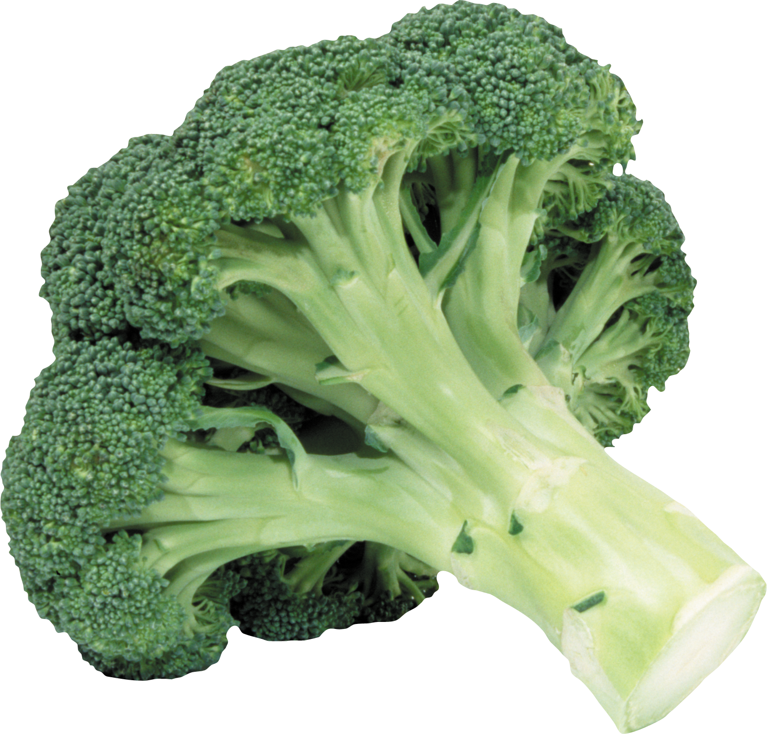 Broccoli PNG - 8013