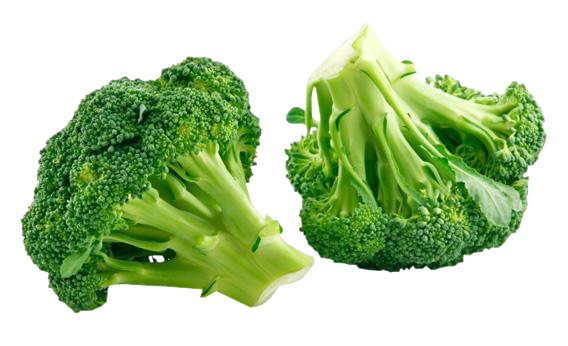 Green Broccoli Png Image PNG 