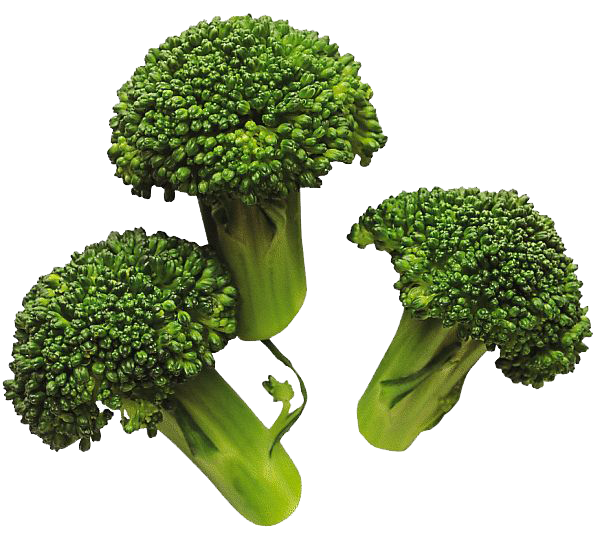 Broccoli PNG image with trans