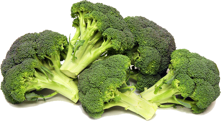 Fresh Broccoli PNG Image