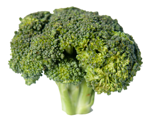 Download Broccoli PNG Image
