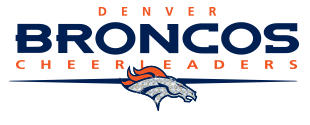 Denver Broncos PNG - 1503