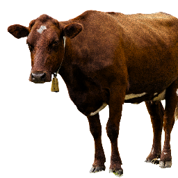 Brown Cow PNG - 154116