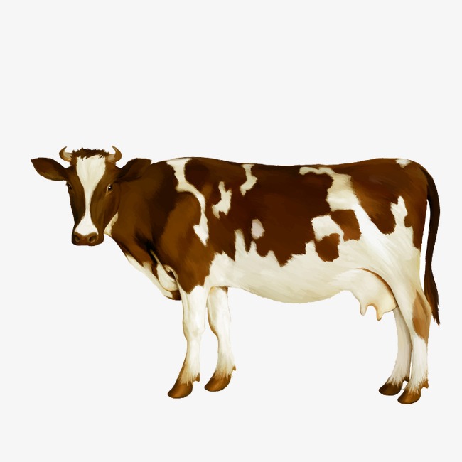 Brown Cow PNG - 154123