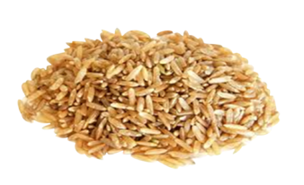 Brown Rice PNG - 166304