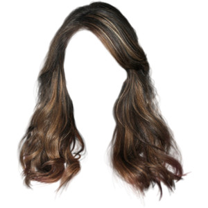 Brown hair clip, Wig, Female 