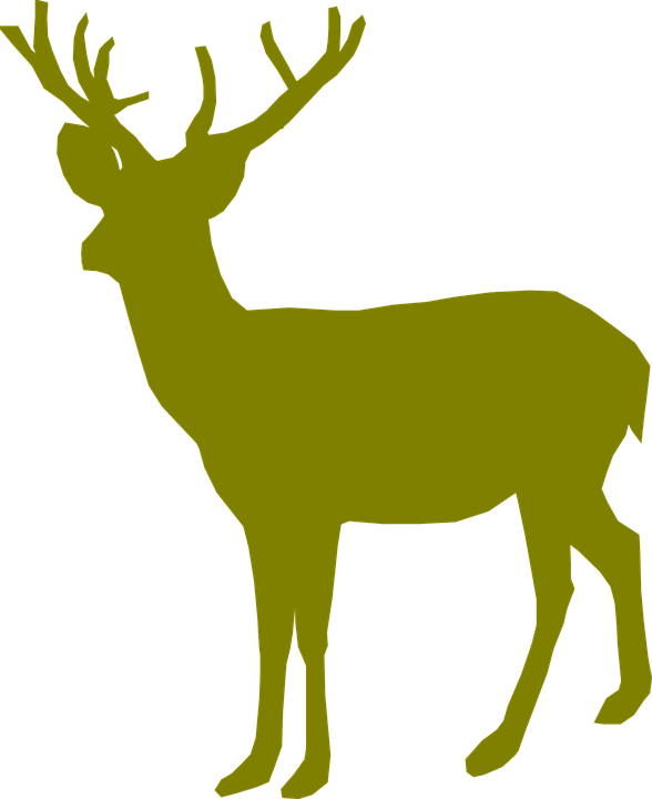 Buck Deer PNG - 143844