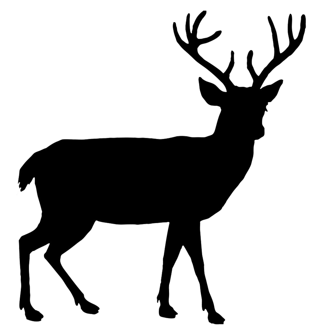 Buck Deer PNG - 143845