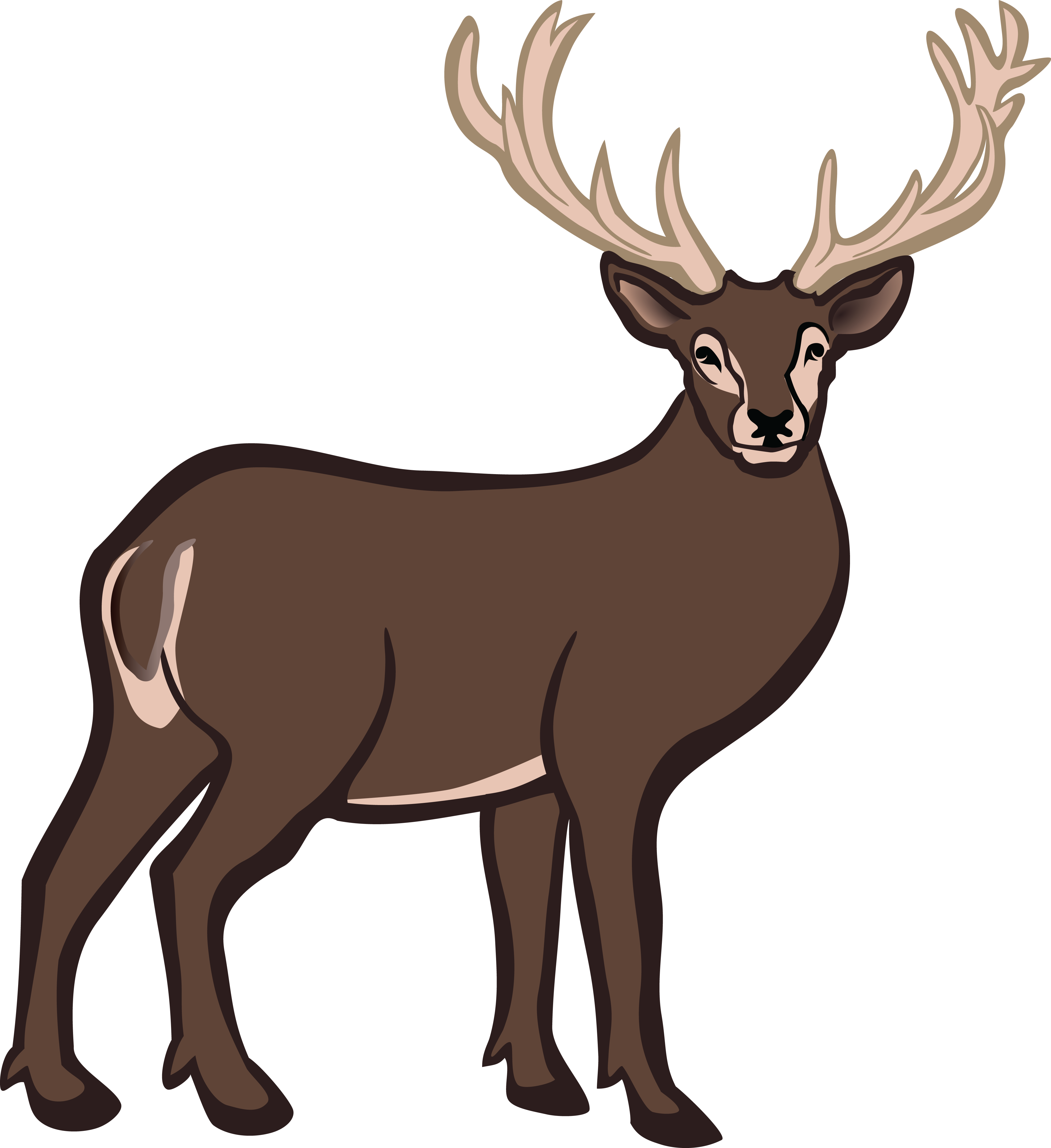 Buck Deer PNG - 143840