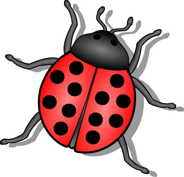 Bugs PNG - 26278