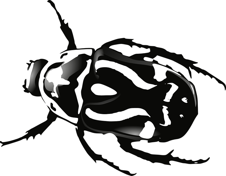 Bugs PNG Black And White - 157970
