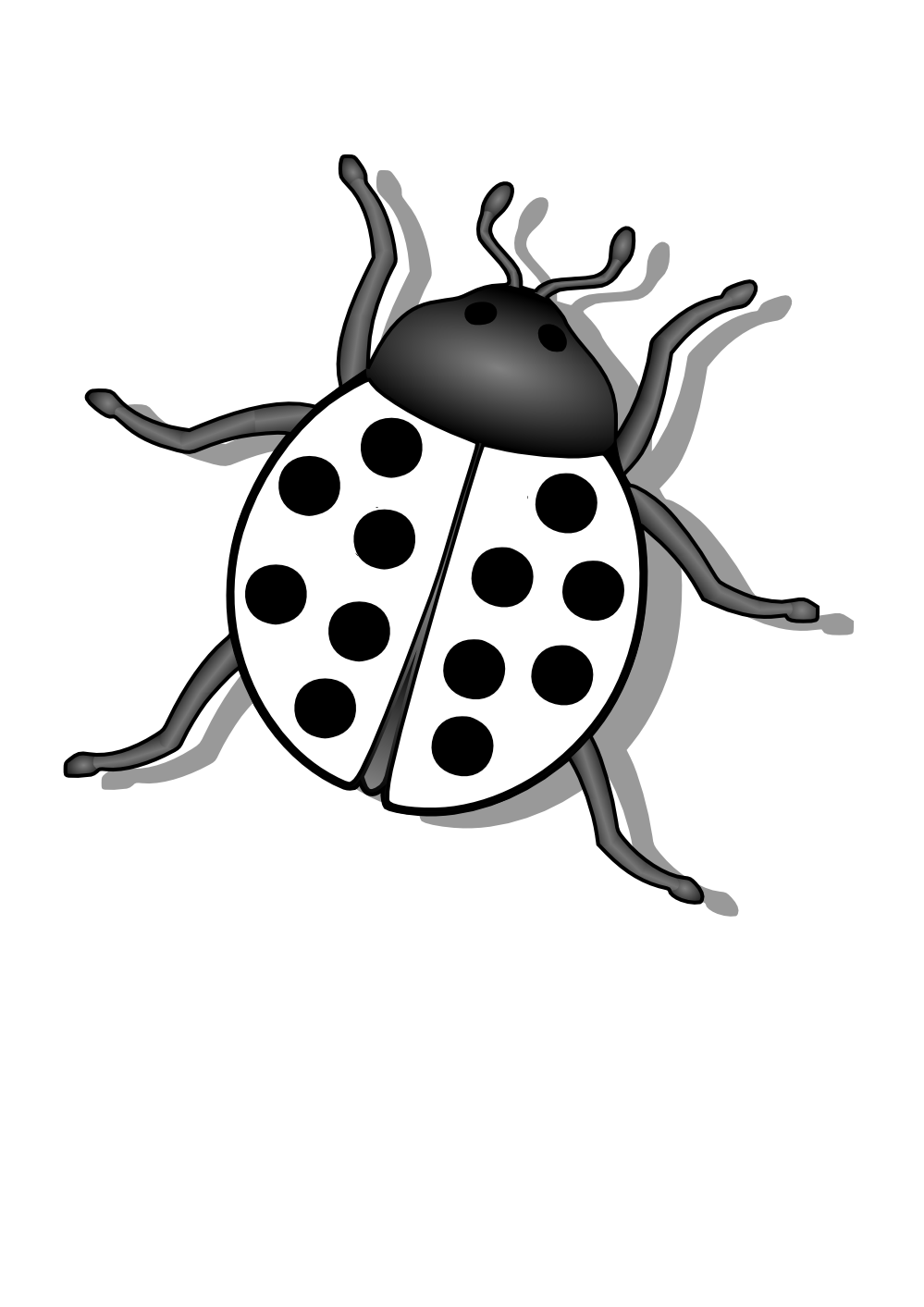 Collection of Bugs PNG Black And White. | PlusPNG