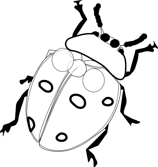 Bugs PNG Black And White - 157982