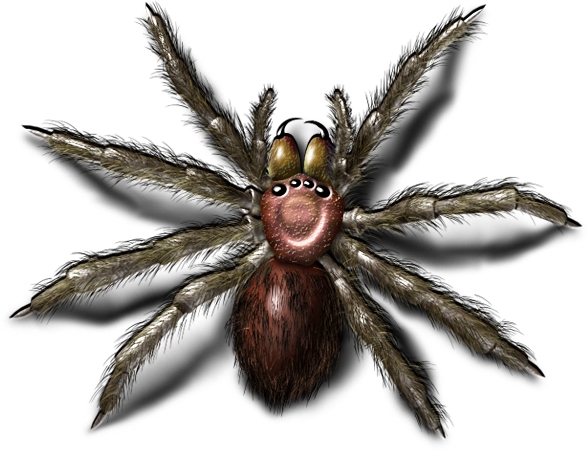 Bugs PNG - 1151
