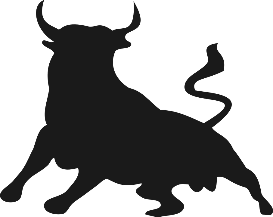 bull buffalo animal mammal ho