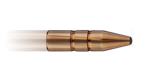 Bullets PNG - 5840