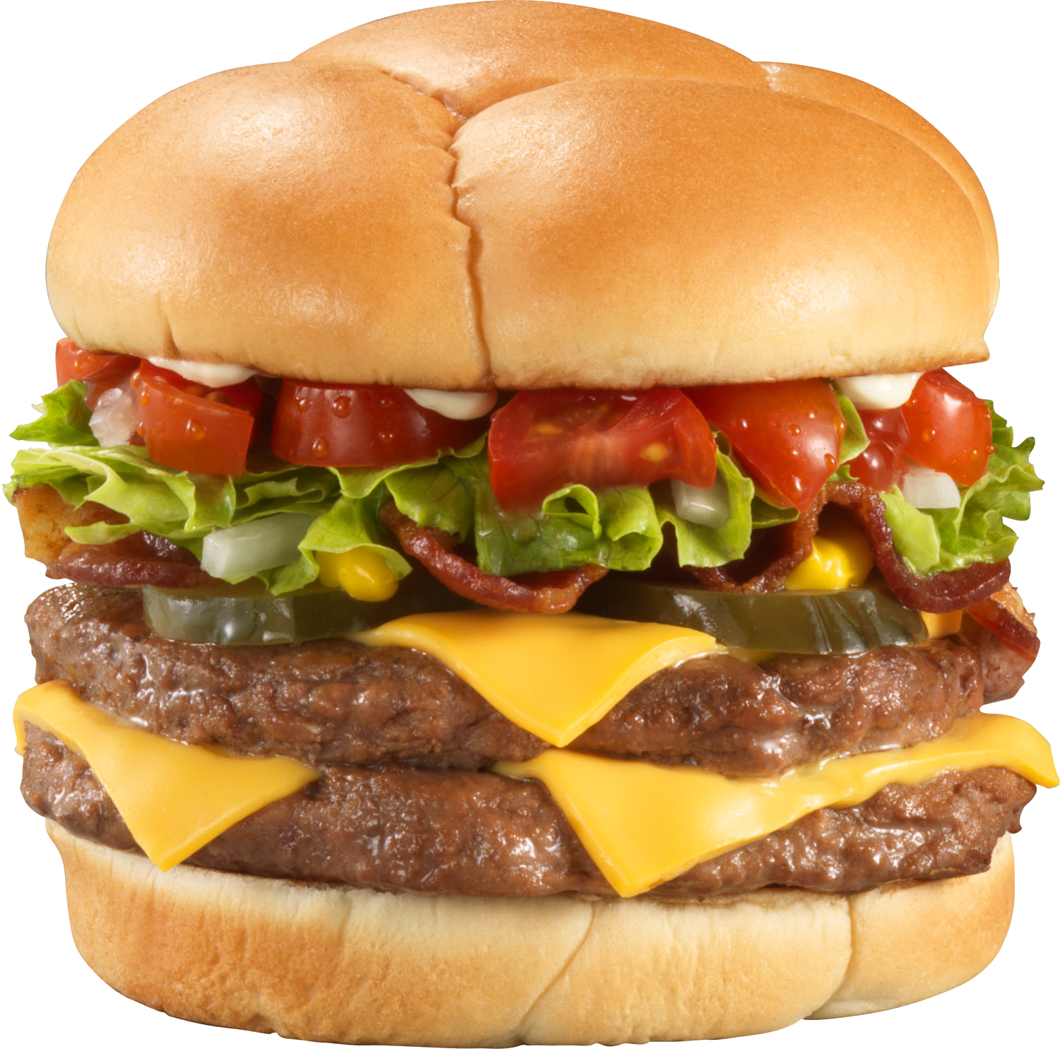 hamburger, burger PNG image -