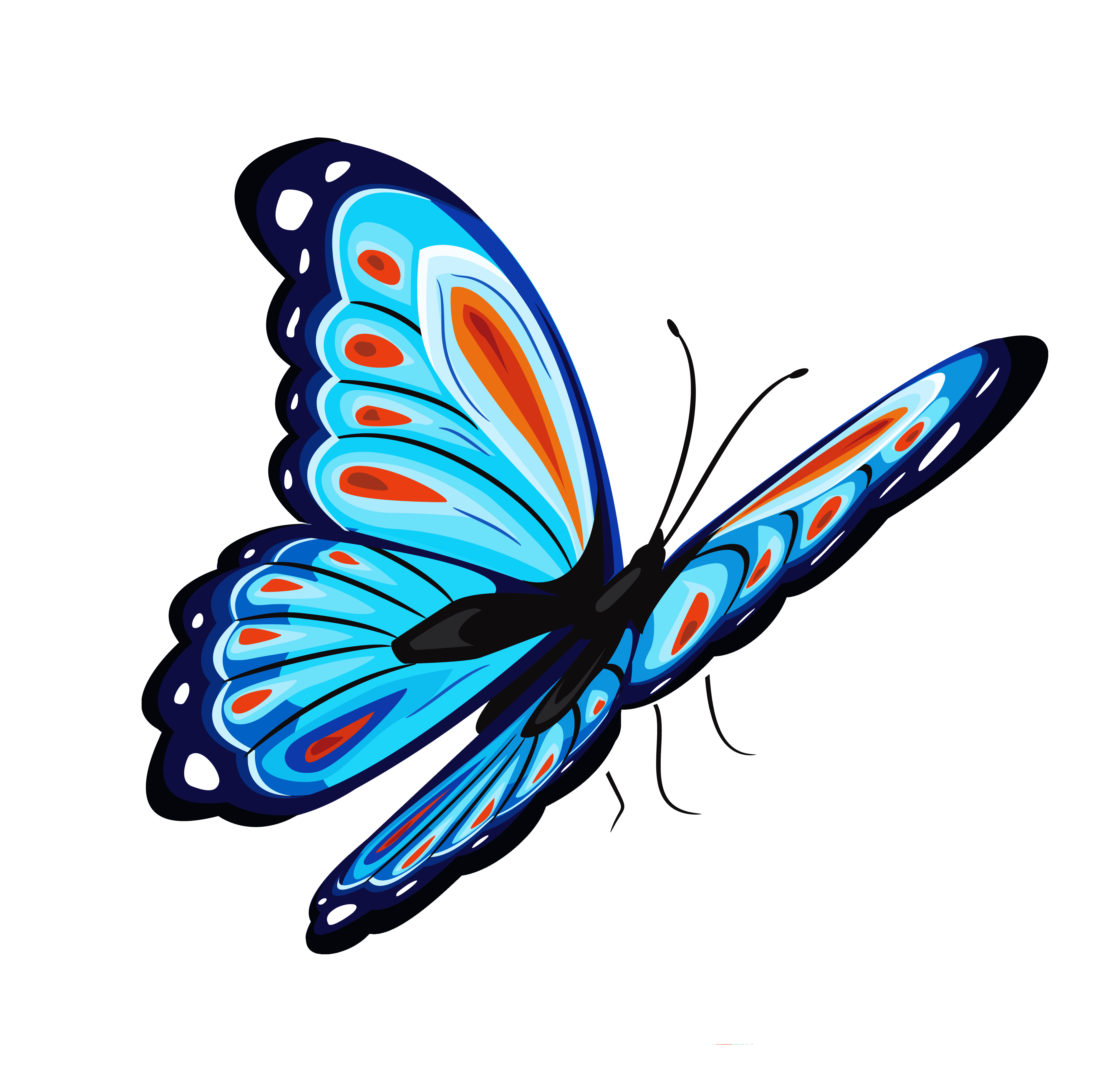 Butterfly HD PNG - 117538