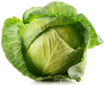 Cabbage HD PNG - 155757