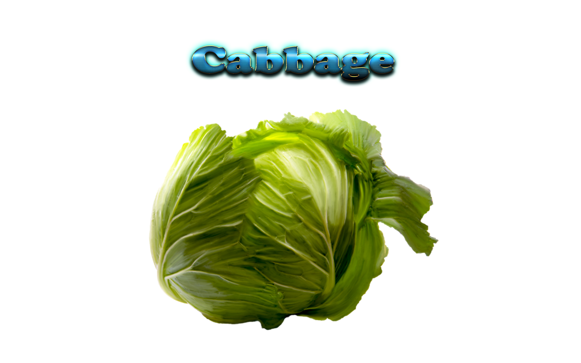 Cabbage HD PNG - 155766