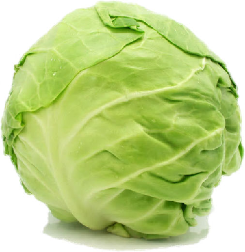 Red cabbage White cabbage Veg