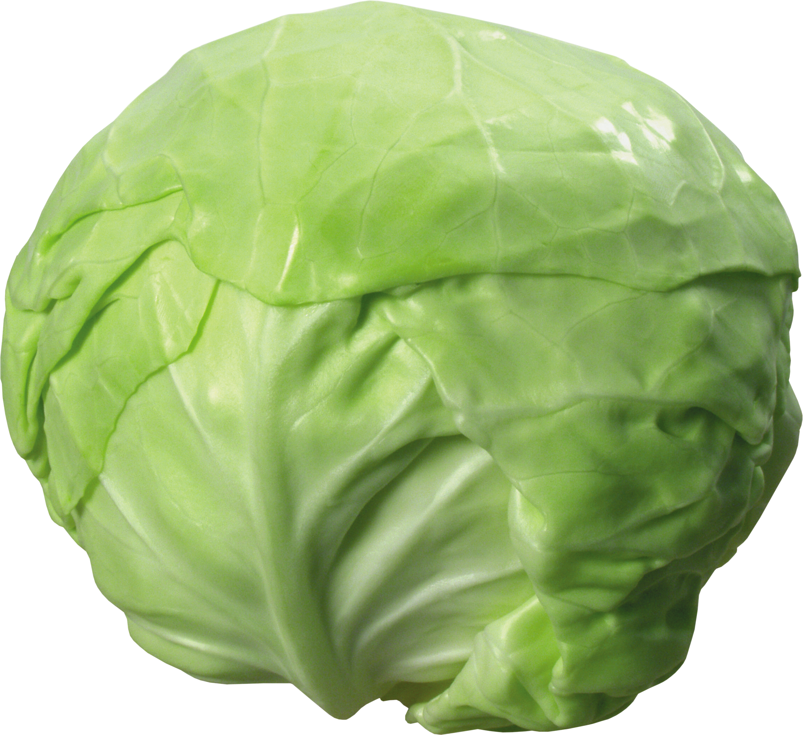 Cabbage HD PNG - 155756