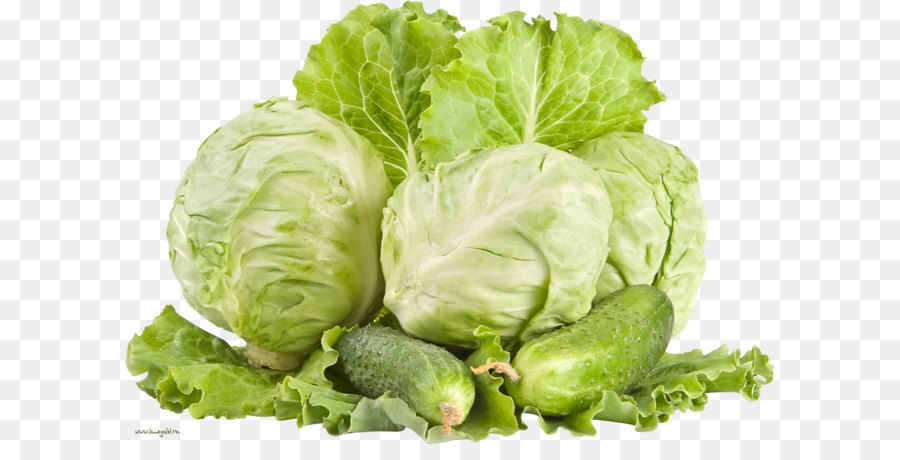 Cabbage HD PNG - 155758