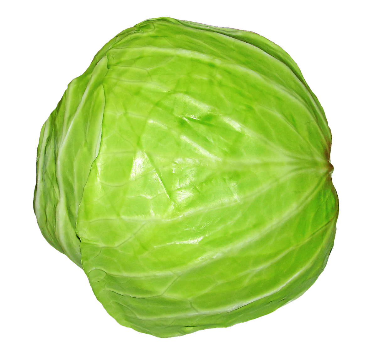 Cabbage PNG - 9170