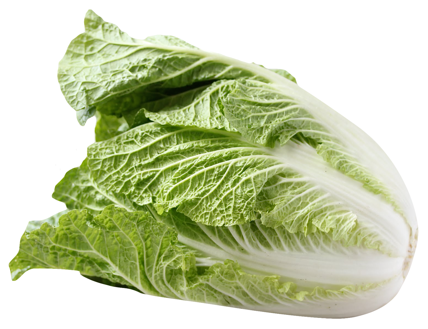 Cabbage PNG - 9178