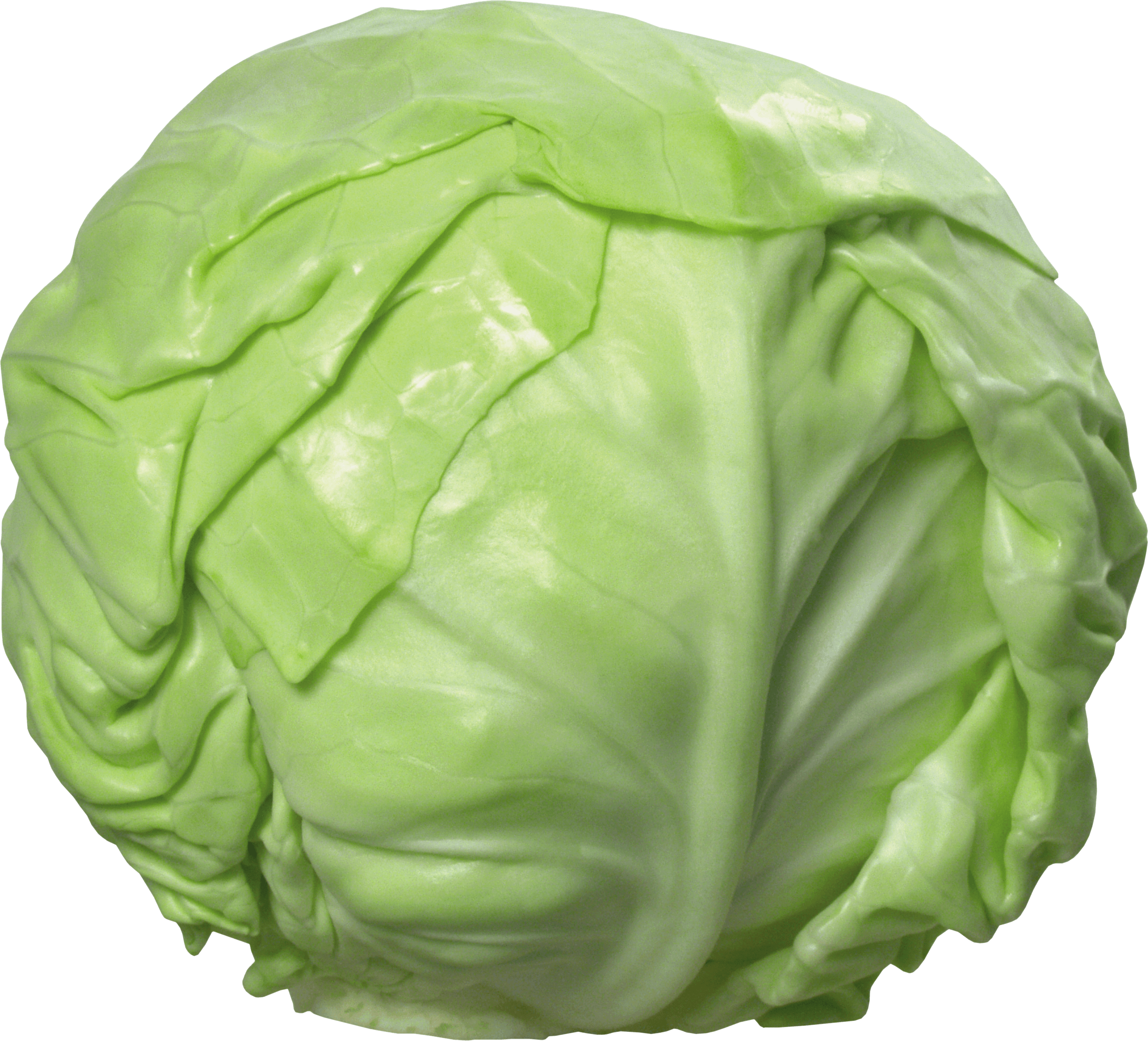 Cabbage PNG - 9165