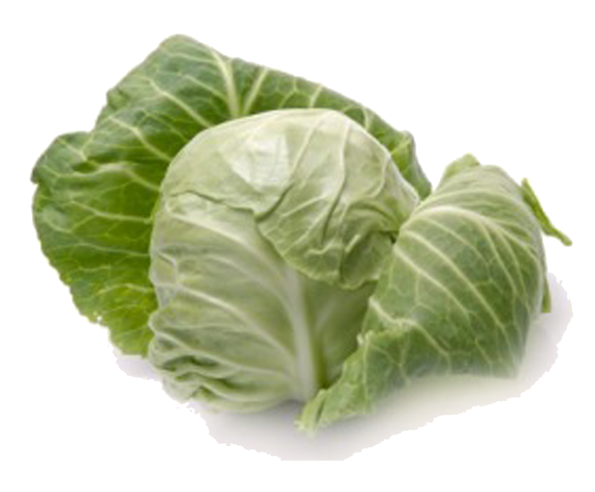 Cabbage PNG - 9171