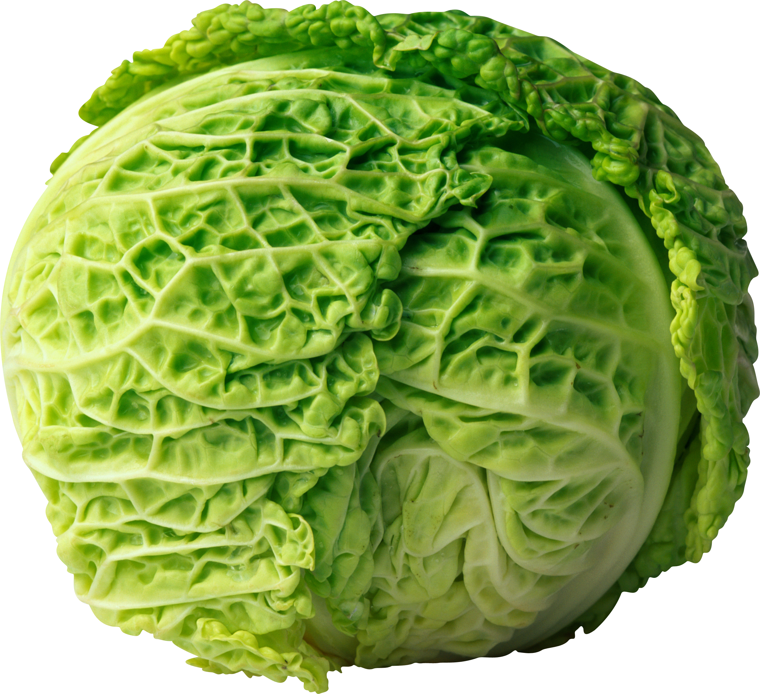 Cabbage PNG - 9167