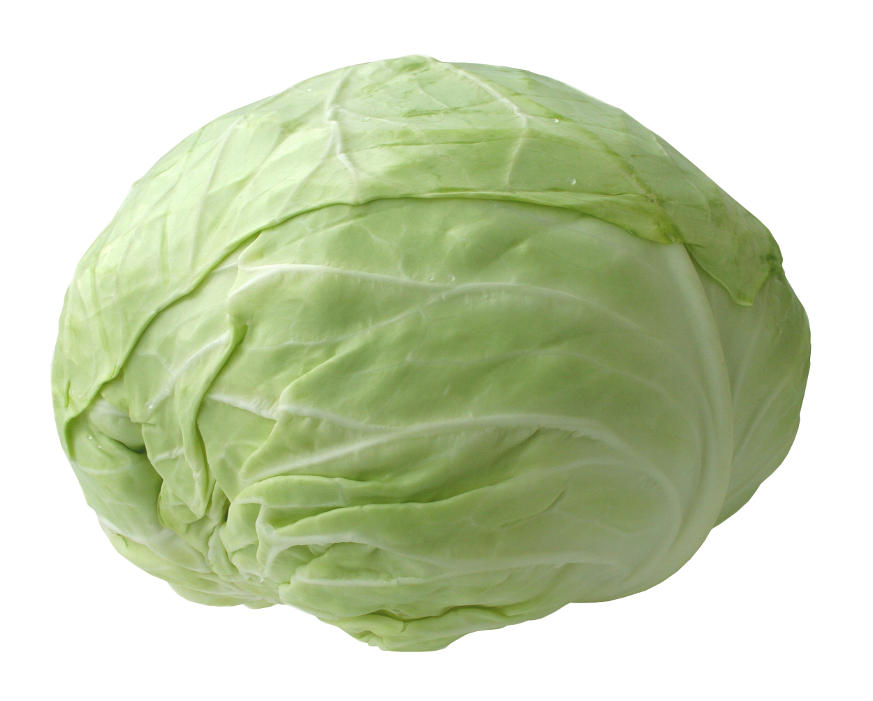Cabbage PNG - 9164