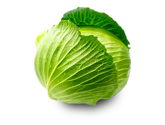 Cabbage Family Vegetable PNG