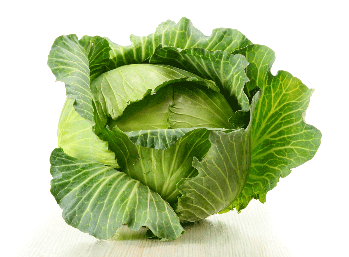 Cabbage PNG - 9174