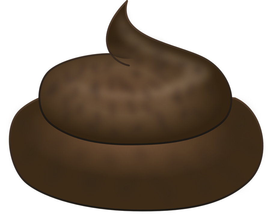 Cacca PNG - 161099