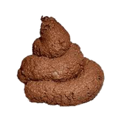 Cacca PNG - 161107