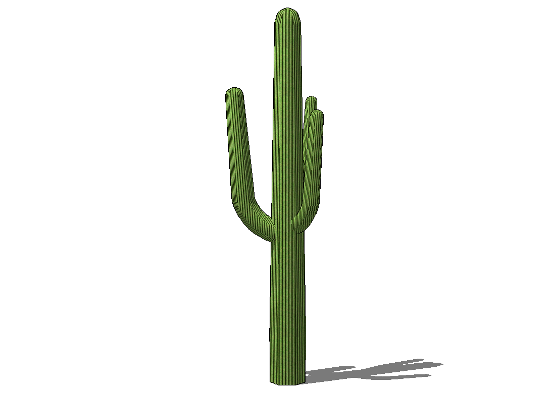 Cactus HD PNG - 119300