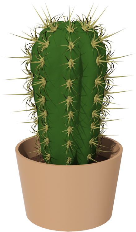 Cactus HD PNG - 119303