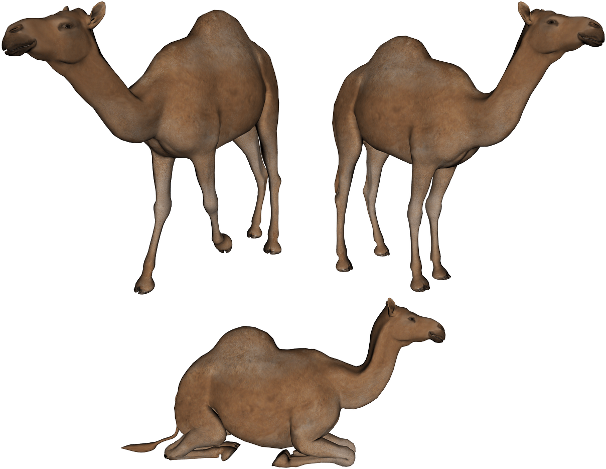 Camel HD PNG - 119184