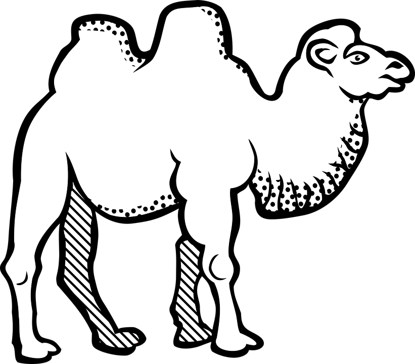 Camel PNG Black And White - 144846