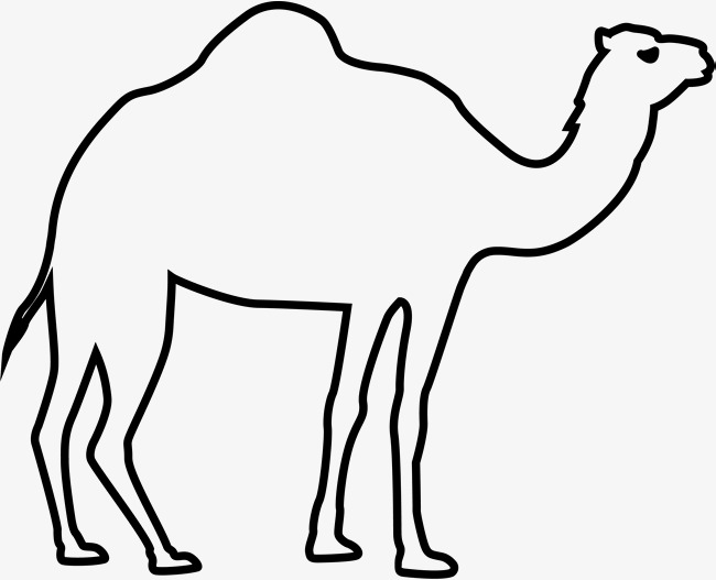 Camel PNG Black And White - 144845