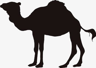 Camel PNG Black And White - 144848
