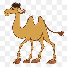 Camel - Hand-painted cartoon 