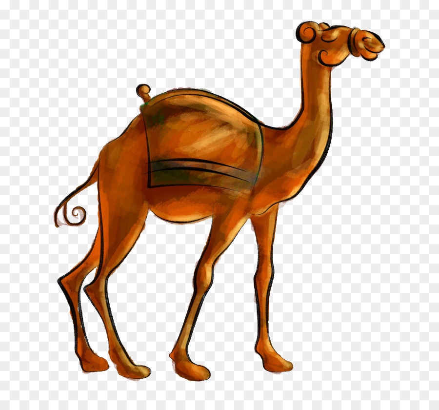 Camel PNG Cartoon - 135821