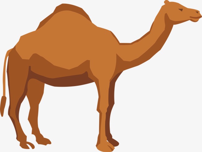 Camel PNG Cartoon - 135822