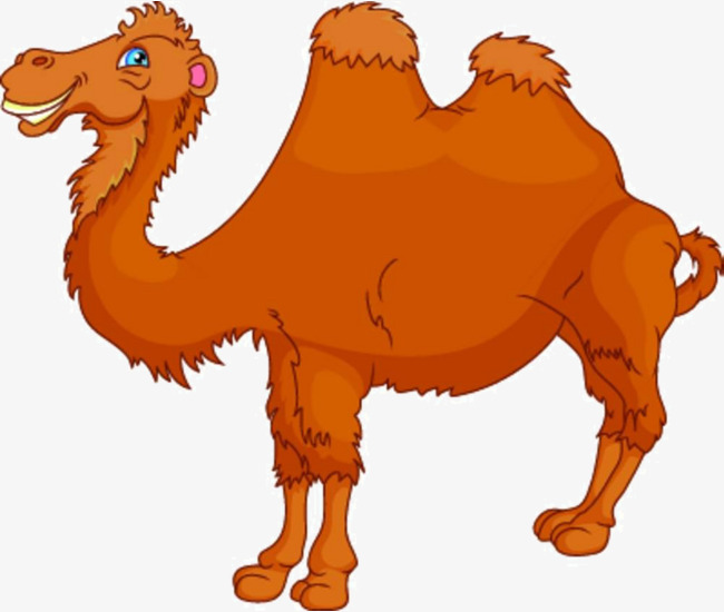 Camel PNG Cartoon - 135814