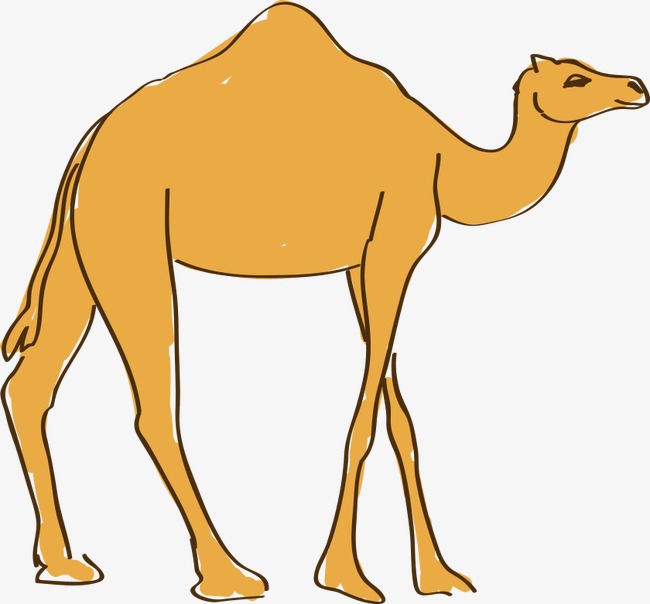 Camel PNG Cartoon - 135827
