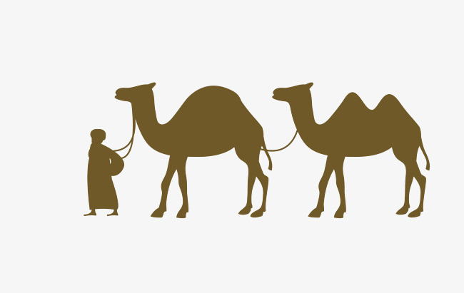 Camels In The Desert PNG - 145575