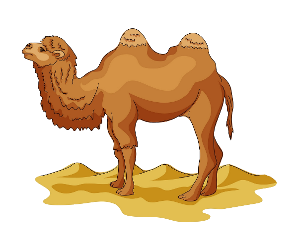 Camels In The Desert PNG - 145591